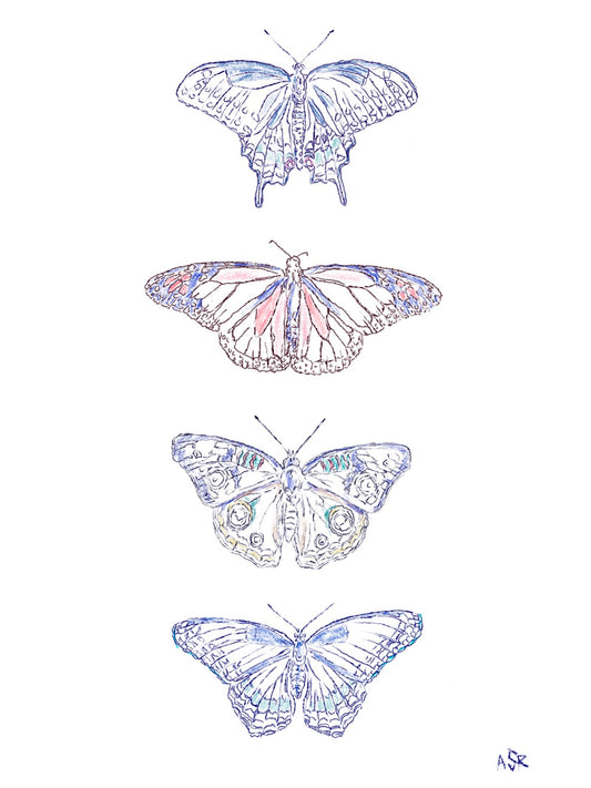 Butterfly Print